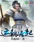 大明气运之尊