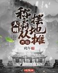 大明：称霸从摆地摊开始