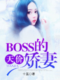 天价追妻：BOSS大神别过来