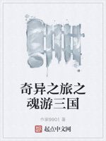 奇异之旅之魂游三国