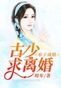 奉子离婚霍明意路雪语