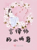 女主是律师的言情小说