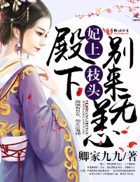 妃上枝头,殿下别来无恙