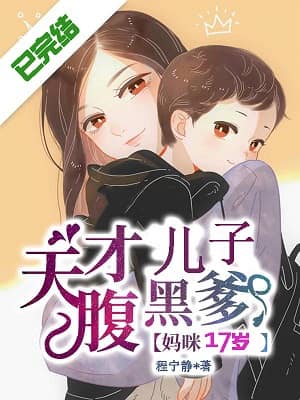 妈咪17岁：天才儿子腹黑爹