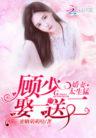 娇妻太生猛：顾少,娶一送二！