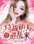 婚情告急总裁请别乱来