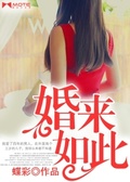 彩婚小说