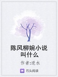 将军在上小说叫什么