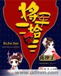 将军宠妻二三