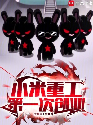 小米重工,第一次创业！