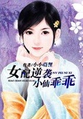 小仙女很乖小说