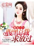 小说总裁宠婚1314