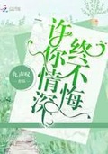 小说许君白头终不悔