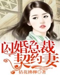 小说:闪婚总裁契约妻