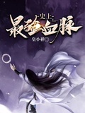 巫师血脉最强阵容