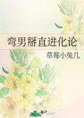 师兄别撩我/掰弯直男的千百种方法