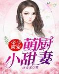 帝少独宠奶萌小甜妻帝墨霆白婉茹