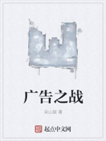 广告之战