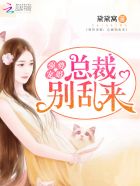 强势宠婚：总裁,别乱来