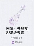 开局天赋sss