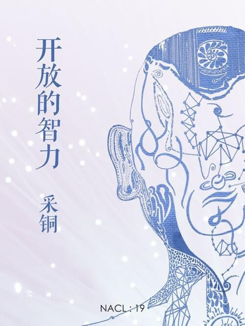 开放的智力：知乎采铜自选集