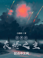 异界的灰烬之主