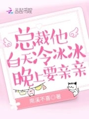 总裁他白天冷冰冰,晚上要亲亲