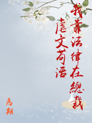 总裁律师文