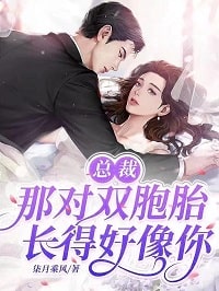总裁,那对双胞胎长得好像你