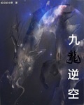 怎么陪哈士奇玩