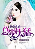 惹爱成婚总裁大人别玩火