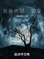 我的世界：水晶骨