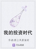 我的投资时代正版