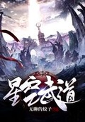 我的星空武道无错版