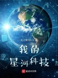 我的星河科技无上宗qd