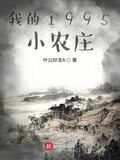 我的1995小农庄 小说