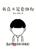 我真的不是套路你