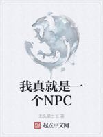 我真就是一个NPC