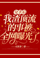 我作死劈腿顶流男神后被全网喊嫂子了