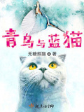 我与猫猫