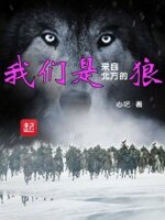 我们是来自北方的狼
