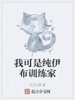 我可是纯伊布训练家