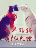 我养的猫,有亿点怪