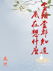 我在明朝穿什么pdf