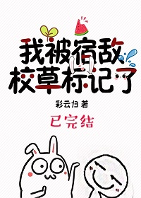 我被宿敌校草标记了