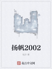 扬帆2002