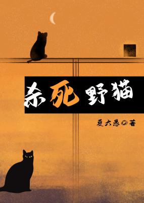 杀死野猫