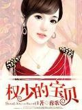 权少的宝贝前妻