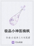 极品小野医杨枫小说