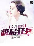 极品总裁的超级狂兵